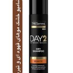 شامپو خشک ترزمه Day 2 Between Washes مخصوص موهای قهوه ای و مشکی